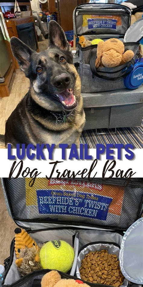 Dog Travel Bag - Dog Travel Made Easy - Dine Dream Discover