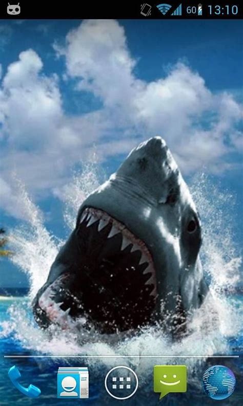 Free download Shark Attack Live Wallpaper Android Live Wallpaper ...