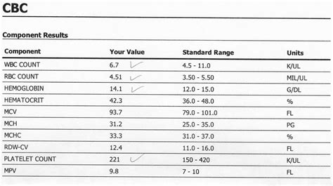 Understanding Your CBC (Complete Blood Count) Test Results