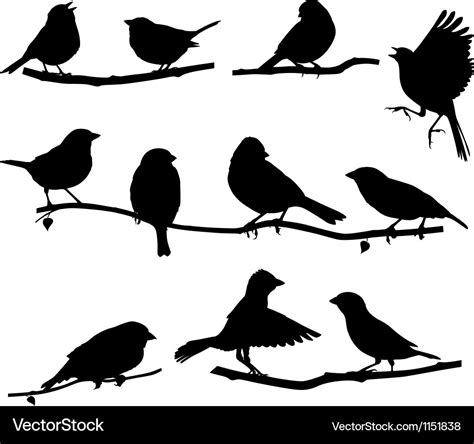 Silhouettes bird on a branch Royalty Free Vector Image