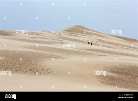 Dune du Pilat, Bay of Arcachon, Gironde, France Stock Photo - Alamy