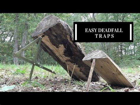 The Simplest Deadfall Traps You Will Ever Use – Outdoor Survival Nation