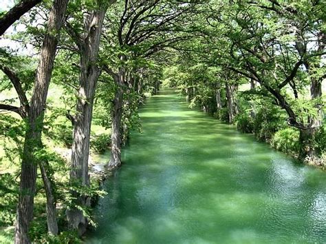 Medina River, Texas | Medina river, River, Medina