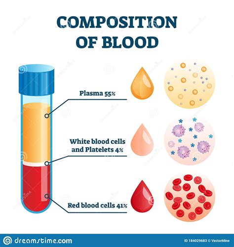 Easy Red Blood Cell Diagram Labeled