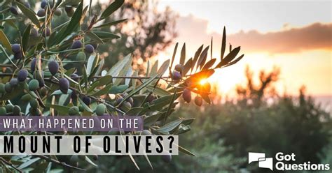 What happened on the Mount of Olives? | GotQuestions.org