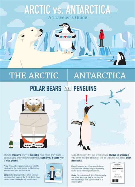 Arctic vs. Antarctica: A Traveler’s Guide