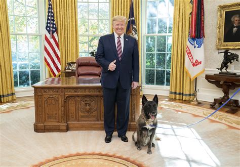 Who Let the Dogs Out: Trump’s Aversion to Presidential Pets - Brown ...