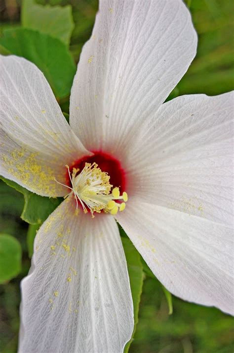 Everglades National Park | MowryJournal.com