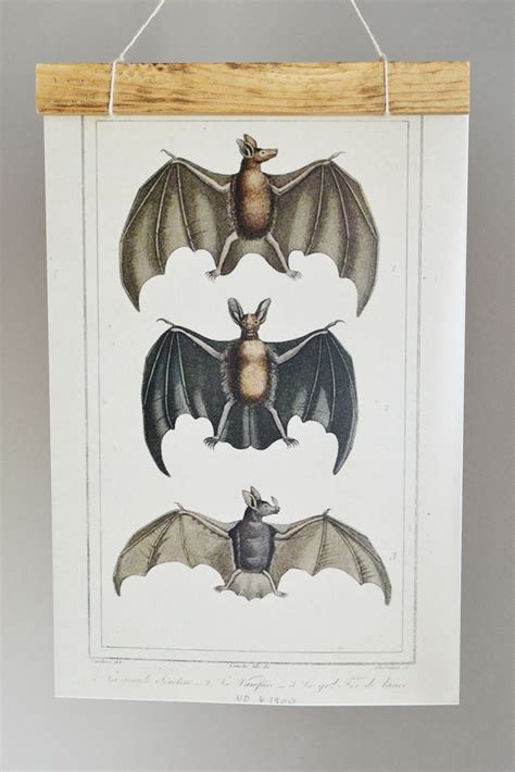 Vampire Bat Printable - My Someday in May