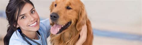 Veterinary Schools | Animal Care Courses and Programs