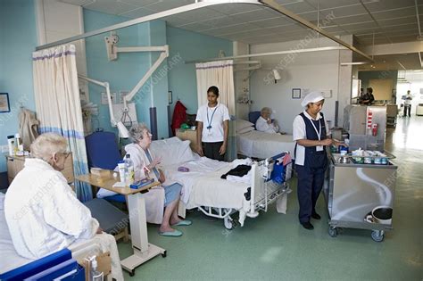 Hospital ward - Stock Image - C002/3691 - Science Photo Library