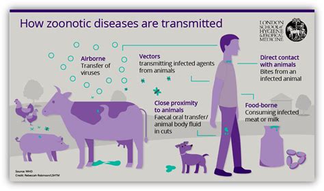 Scientia potentia est: What are zoonotic diseases? Pathogens that spread between animals and humans