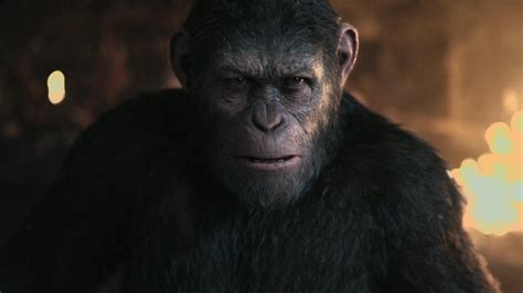 Why Caesar Actor Andy Serkis Didn't Return For Kingdom Of The Planet Of ...