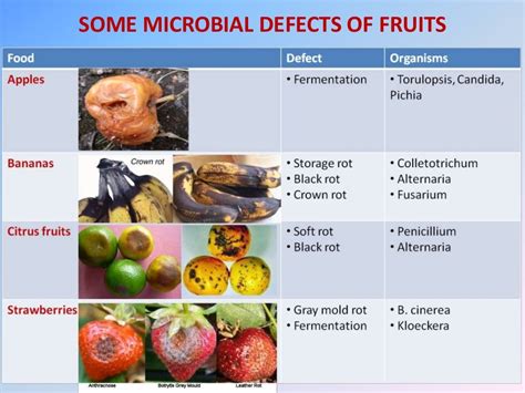 Microbial Spoilage of fruits and vegetables