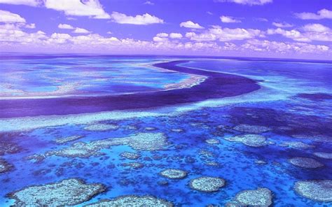 Great Barrier Reef Australia - Places YOU want to visit