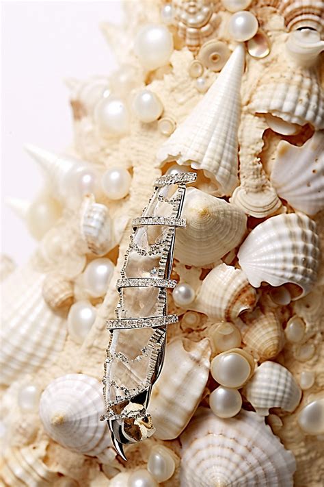 Sea Shell Jewelry Set In Silver Background Wallpaper Image For Free Download - Pngtree