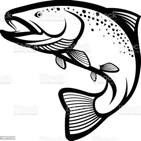 Trout Fish Vector Illustration | Fish vector, Fish silhouette, Trout art