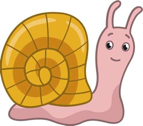 Snail clipart. Free download transparent .PNG | Creazilla