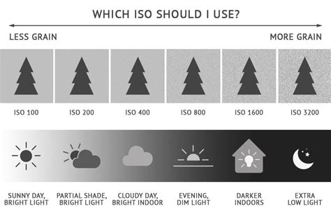 ISO in Photography: Guide for Beginners