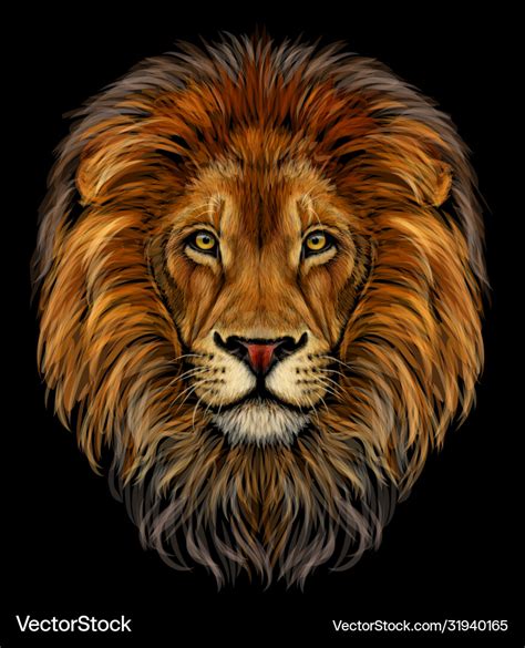 Lion Drawing Images Color