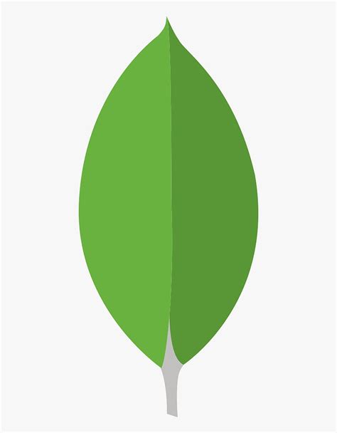 Icon Mongodb Logo, Png , Transparent Png HD phone wallpaper | Pxfuel