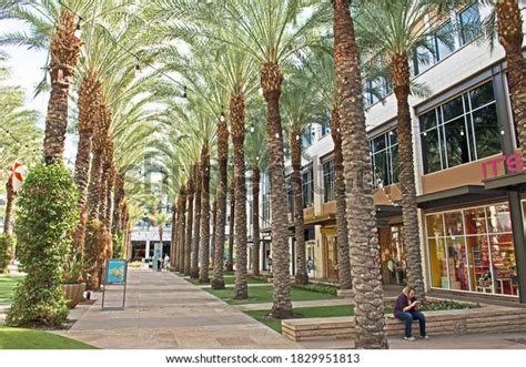 20 Scottsdale Quarter Shopping Images, Stock Photos, 3D objects ...