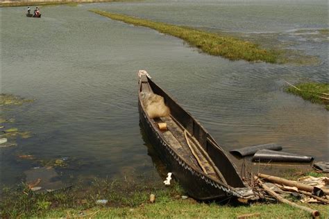 BBC NEWS | Business | Indian shrimp farming industry