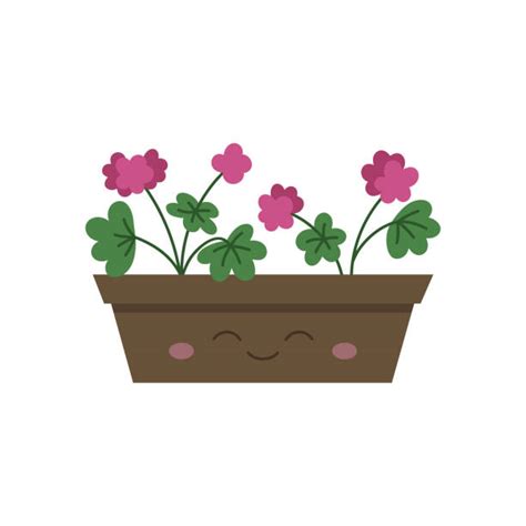 180+ Flower Box Illustration Stock Illustrations, Royalty-Free Vector Graphics & Clip Art - iStock