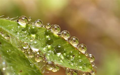 1280x720 resolution | macro photography of droplets of water HD ...