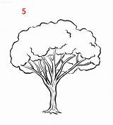 Easydrawingguides Baum Sketch Coloring Page sketch template
