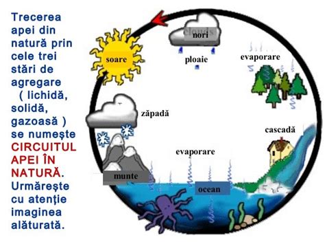 Circuitul apei in natura