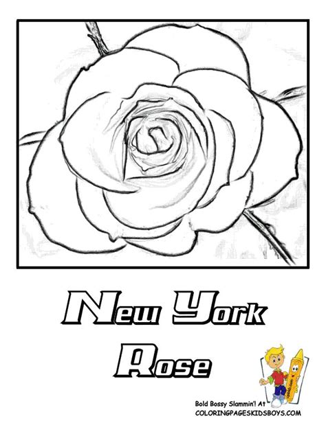 New York State Flower Coloring Page | Rose | Coloring pages, Flower ...