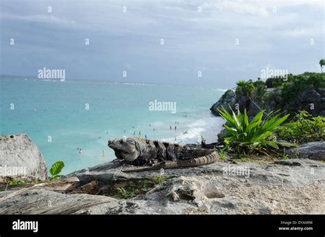 Tulum mayan city, mexico Stock Photo - Alamy