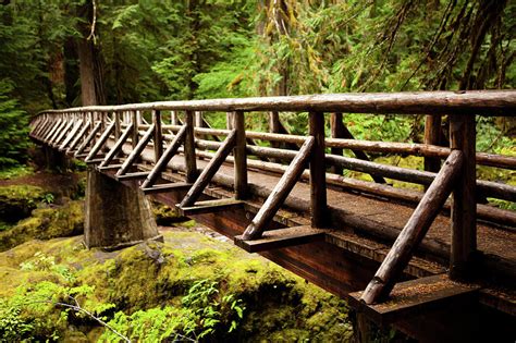 Wooden Bridge In The Forest Photograph by Andipantz - Fine Art America