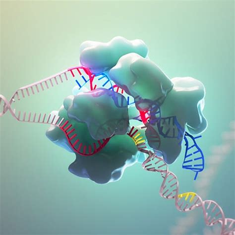 CRISPR-Cas9 Mechanism & Applications