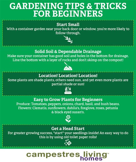 Gardening tips and tricks for beginners: | Gardening tips, Tips, Beginners