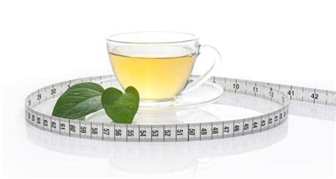 Drink Peppermint Tea Lose Weight - clipsnews