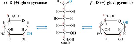 Alpha And Beta Glucose Ring Structure