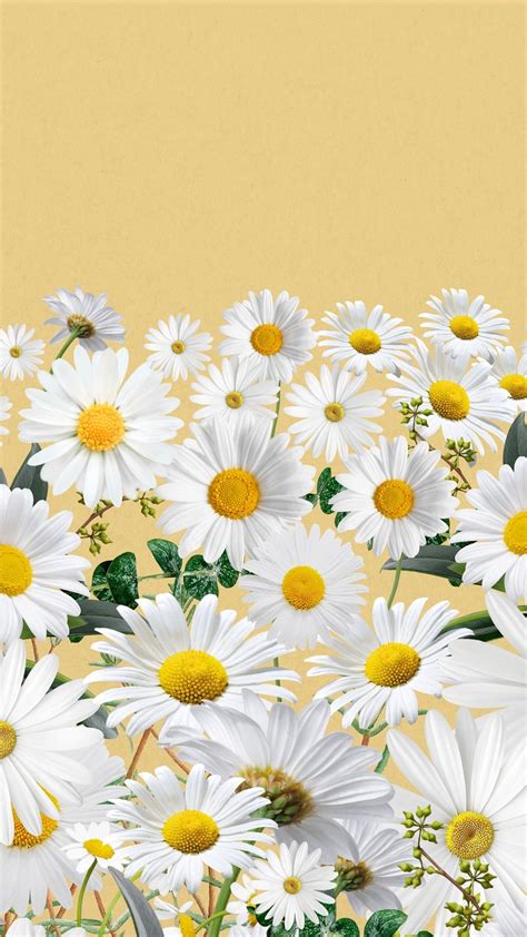 Daisy flower border iPhone wallpaper, | Premium Photo - rawpixel