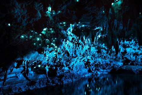 Galaxies Of Glow Worms! Ruakuri Cave And Waitomo Caves Review