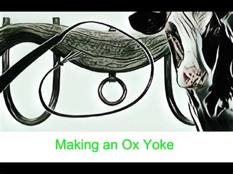 Basic steps to making an ox yoke - YouTube