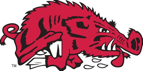 Arkansas Razorbacks Football - Inspiring Moments