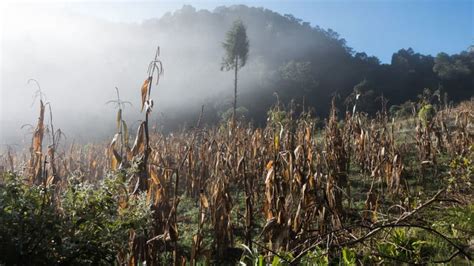 How to Hike Volcano Santa Maria Without a Guide in Xela (Quetzaltenango ...