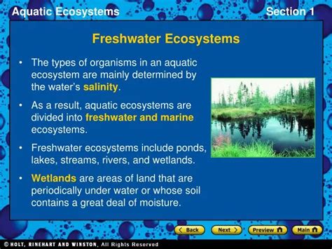 PPT - Freshwater Ecosystems PowerPoint Presentation - ID:5535677