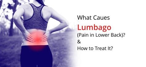 What is Lumbago? Causes, Symptoms and How Is It Treated #health #healthylifestyle #healthtips ...