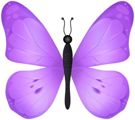 Transparent Butterfly Clipart E9D