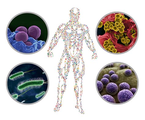 Cancer diagnostics by bacteria and microbiome