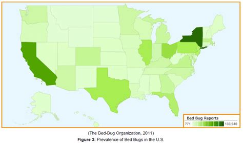 Bed Bugs Epidemic in the United States