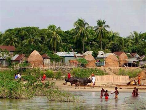 A village in Bangladesh. | Village life, International mother language ...