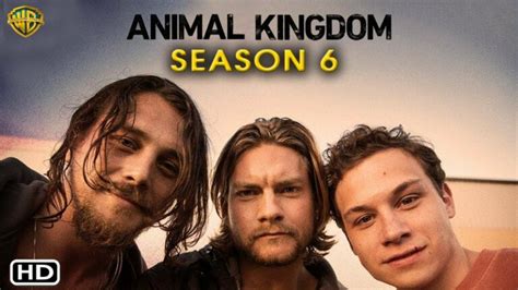 Filming For Animal Kingdom Season 6 Is Now Complete, And The First Look Has Been Released.